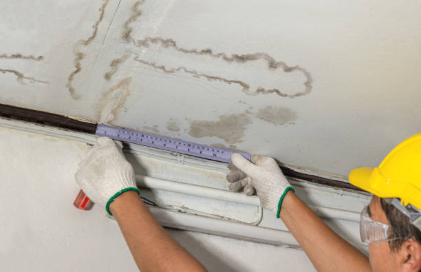 Reliable Burst Pipe Cleanup contractor in Northampton, MA by Water Damage Irwin